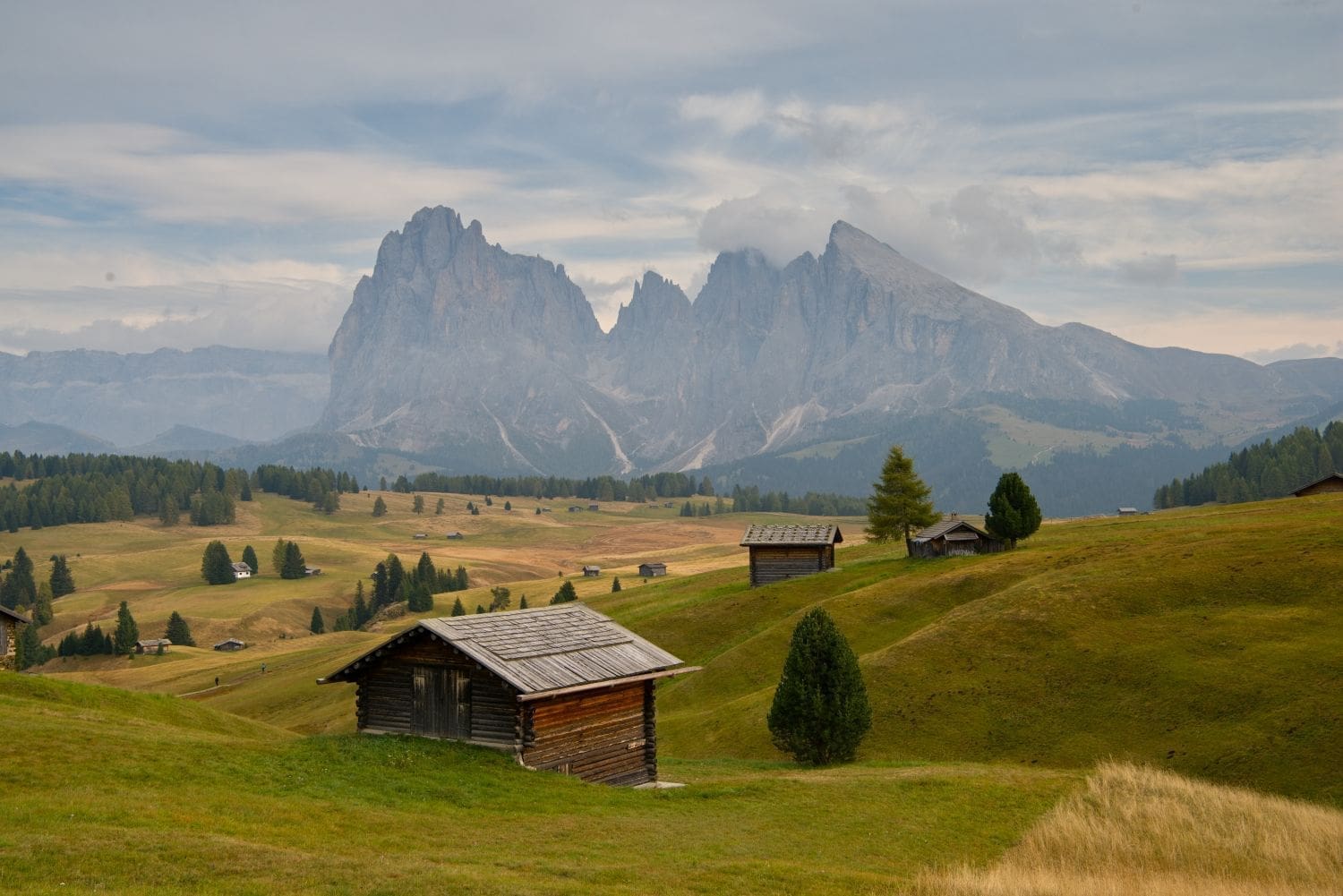 in the alpe di siusi - a mountain meadow with little huts with huge mountains in the background