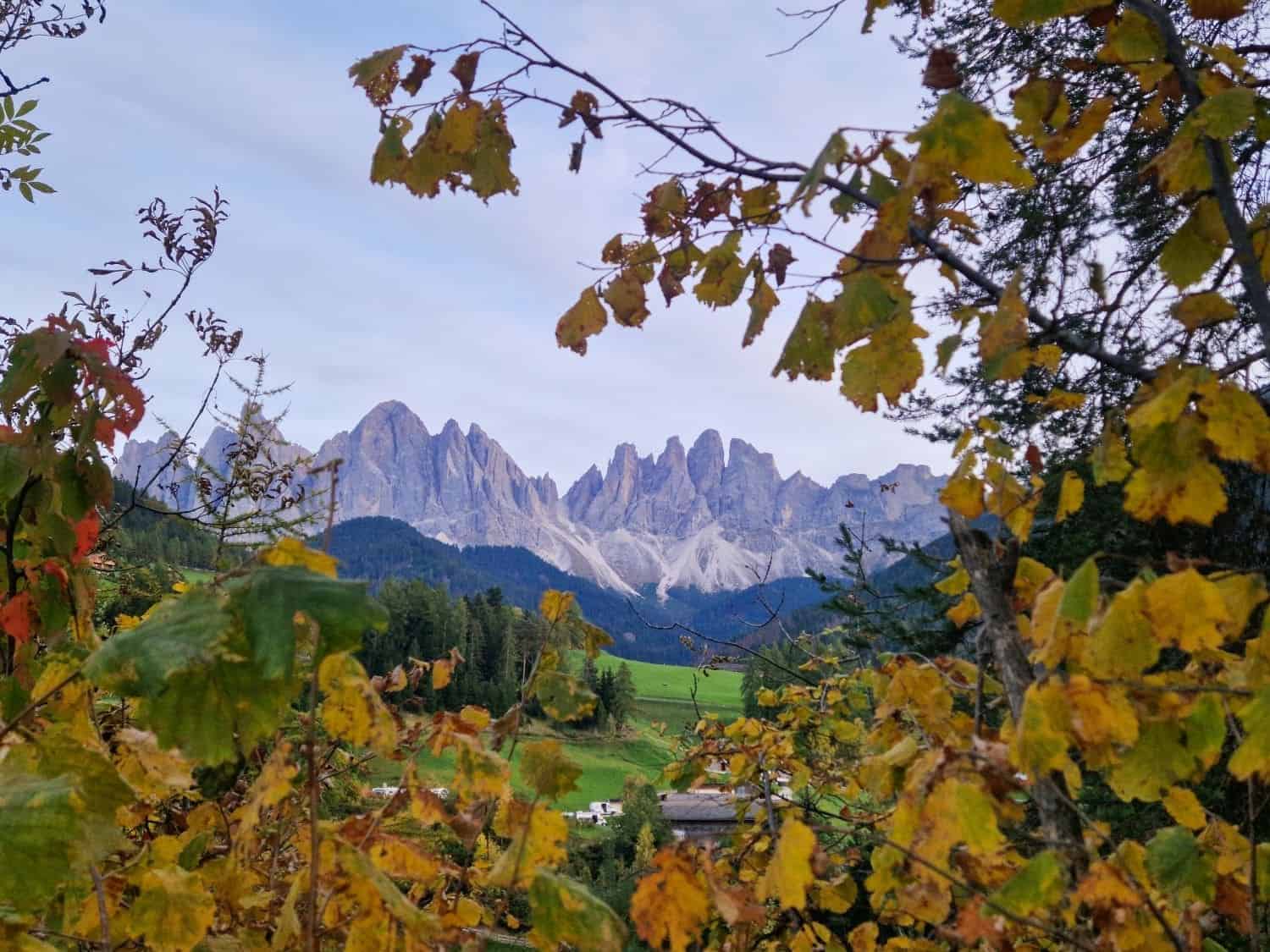 Are the Dolomites worth visiting? Yes! Why? 12 A picturesque view of rugged mountains framed by autumn leaves. The trees in the foreground feature green and yellow leaves, contrasting with the rocky peaks in the background under a clear sky.