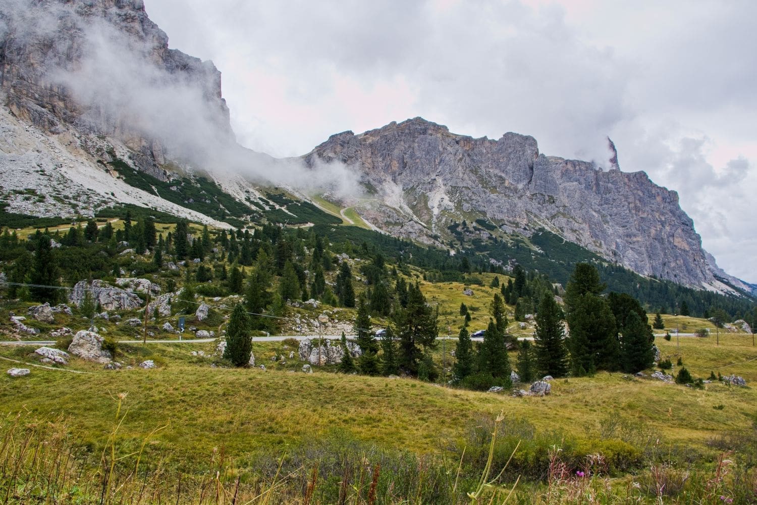 cloudy mountains as visible from Passo Falzarego in the Dolomites with a meadow and trees in the foreground