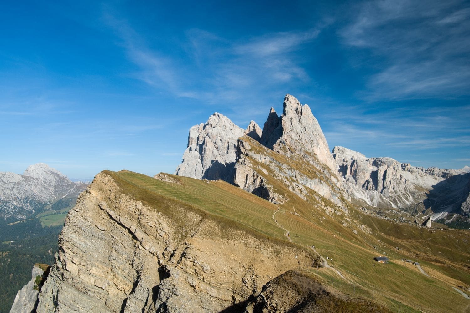 view from the seceda viewpoint with mountains and a field