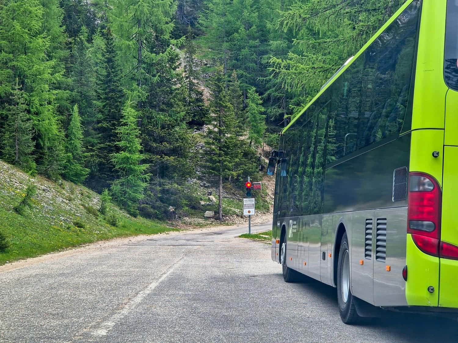 a green and black bus waiting at a traffic light on a narrow mountain road to prato piazza in the dolomites with spruce trees in the background