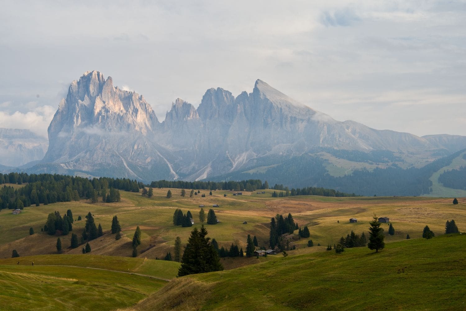 view of the alpe di siusi meadow with rolling hills and trees with the huge mountains of sasso group in the background in the dolomites