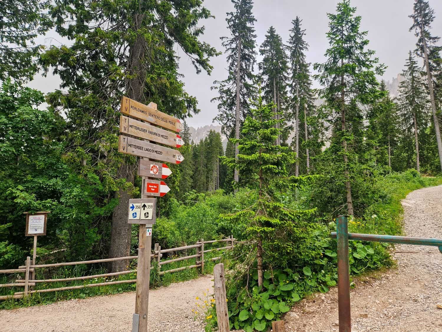 A trailhead in a lush forest with tall evergreen trees and a gravel path. Several wooden signposts give direction to nearby destinations, including hiking trails leading to the stunning Lake Carezza. There is also a green metal gate at the base of the trail and a wooden fence alongside the path.