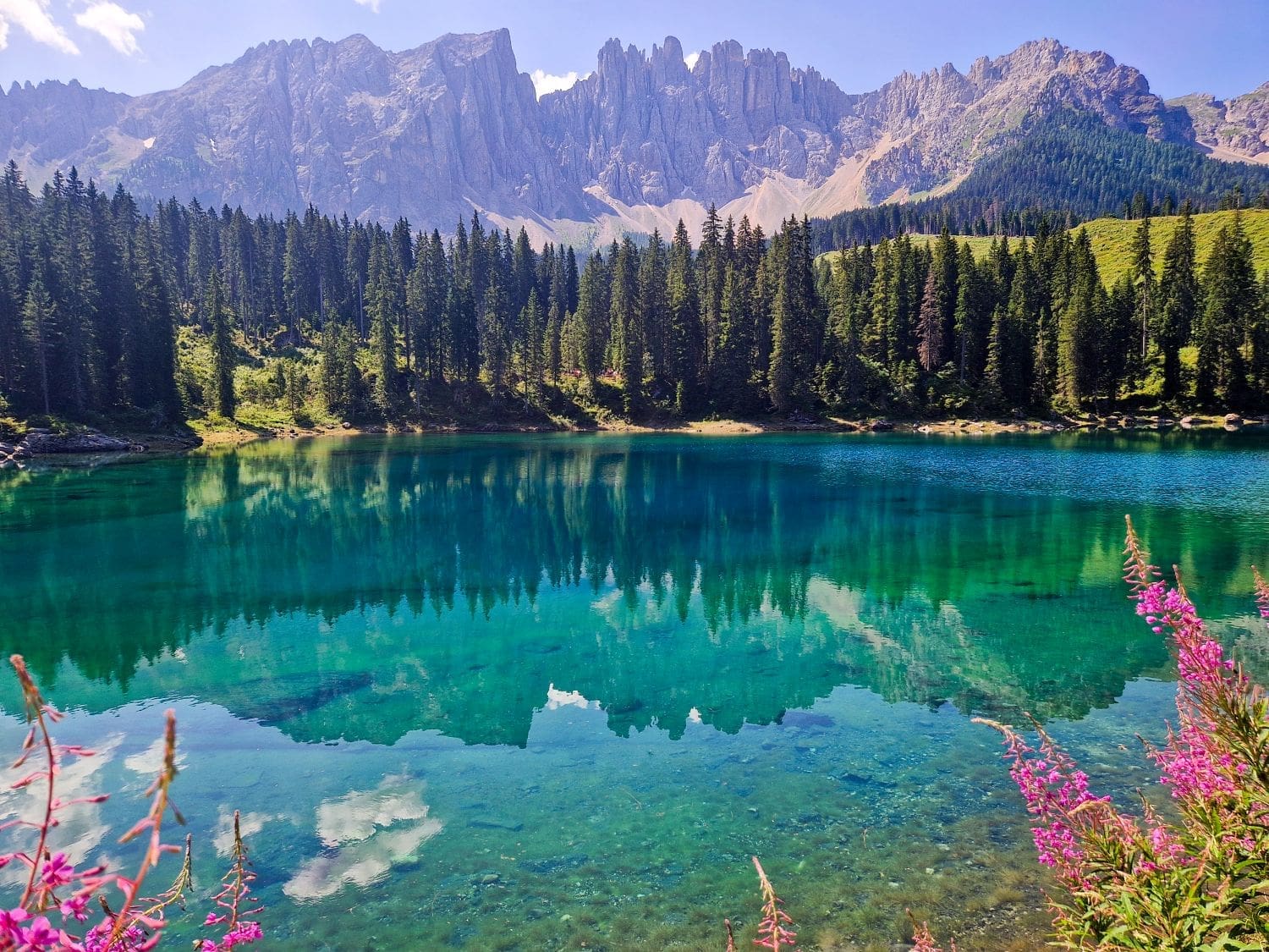 Crystal-clear turquoise lake surrounded by lush evergreen trees with majestic mountains in the backdrop under a clear blue sky. Pink flowers frame the foreground, adding vibrant color to the picturesque landscape.