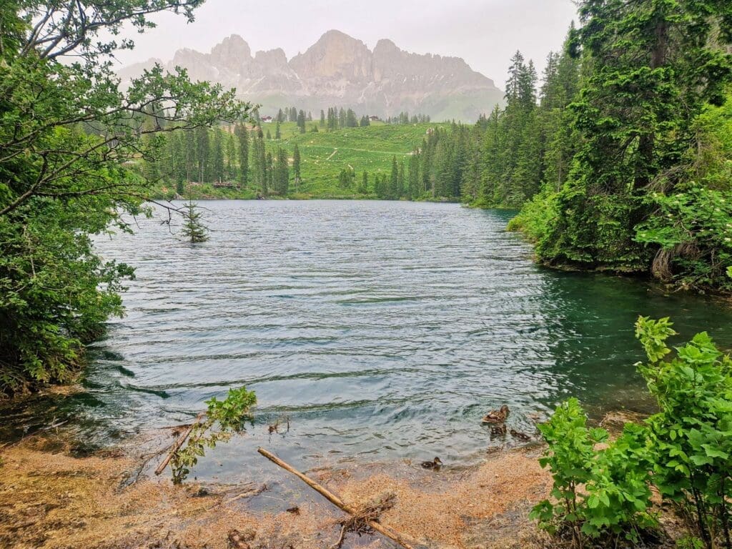 A serene mountain lake surrounded by lush green trees and vegetation, with rocky mountain peaks in the background. The water is calm, reflecting the natural greenery around it. The sky is overcast, giving the scene a tranquil and peaceful atmosphere reminiscent of Lago di Carezza.