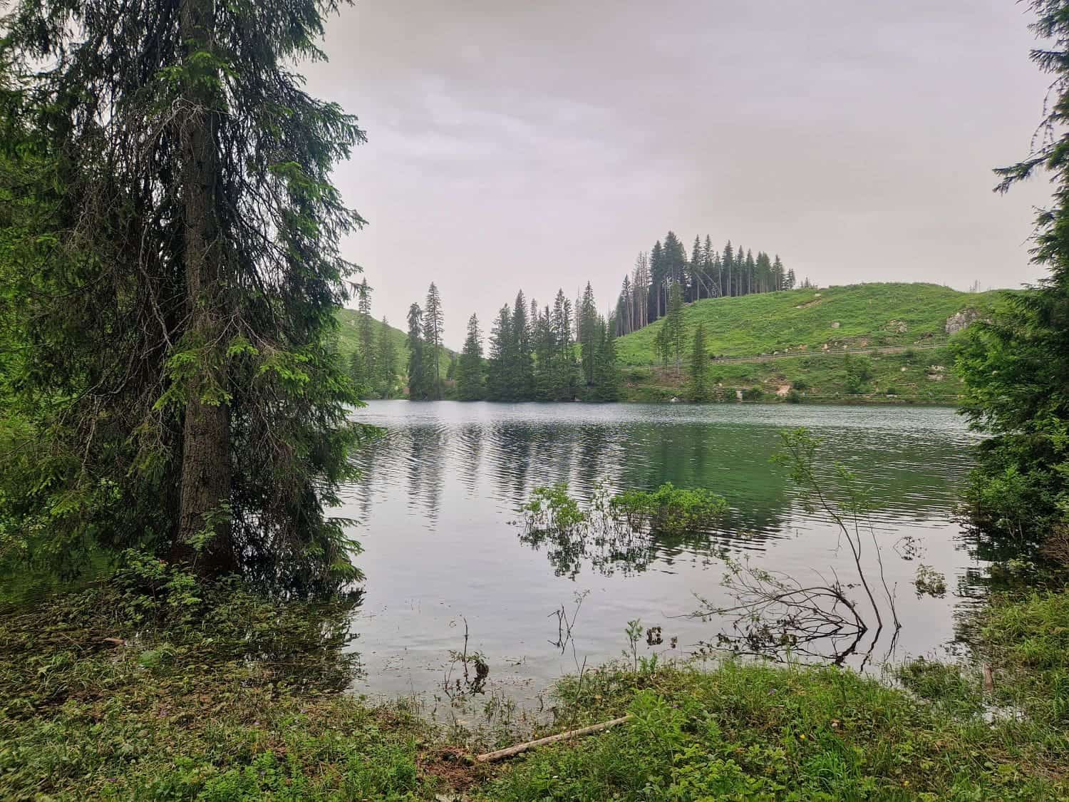 A serene Lake Carezza is surrounded by lush greenery and tall trees. The calm water reflects the overcast sky and surrounding forest. The grassy hills in the background are dotted with dense trees, creating a peaceful, natural landscape.