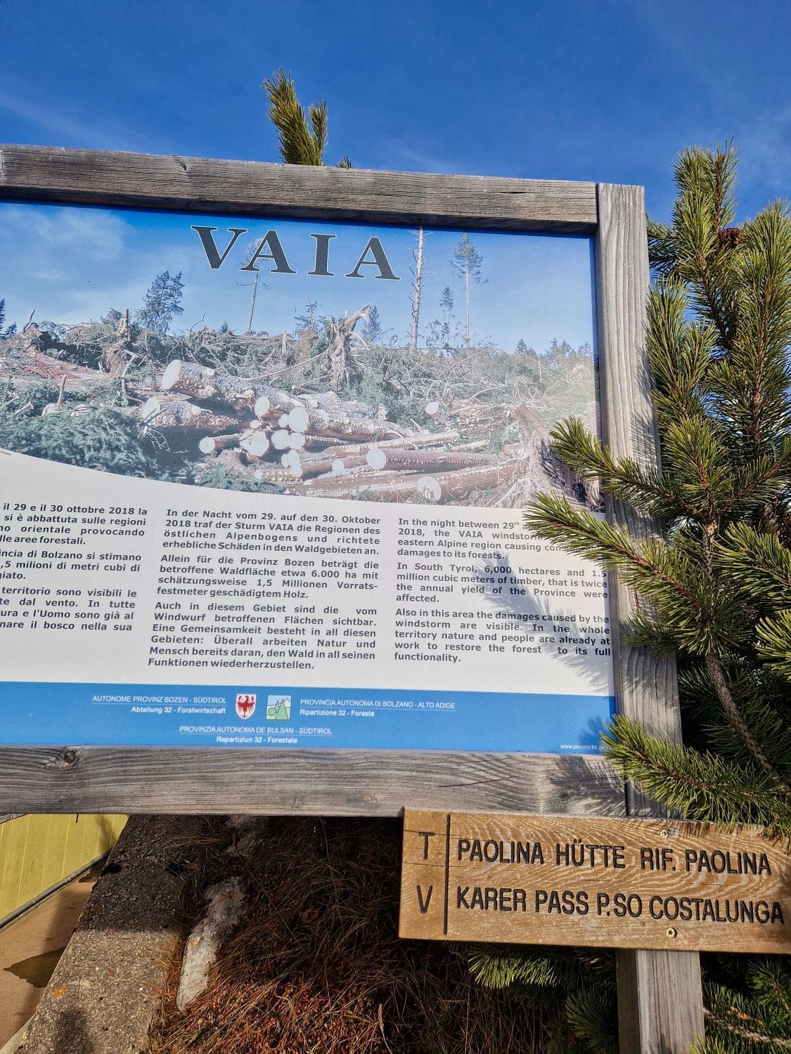 A sign details the impact of storm Vaia, highlighting fallen trees and logging efforts in the background. The sign includes text in multiple languages with an image of a deforested area. A smaller wooden sign nearby indicates directions to Paolina Hütte and Karer Pass.