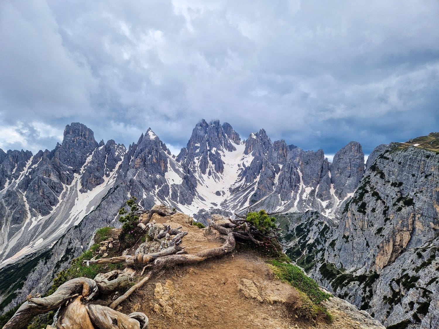 A rugged mountain trail leading to the dramatic Cadini di Misurina viewpoint with snow-capped peaks. The trail is lined with twisted, weathered tree roots, and green vegetation adds color to the rocky terrain. Thick, cloudy patches cover the sky.