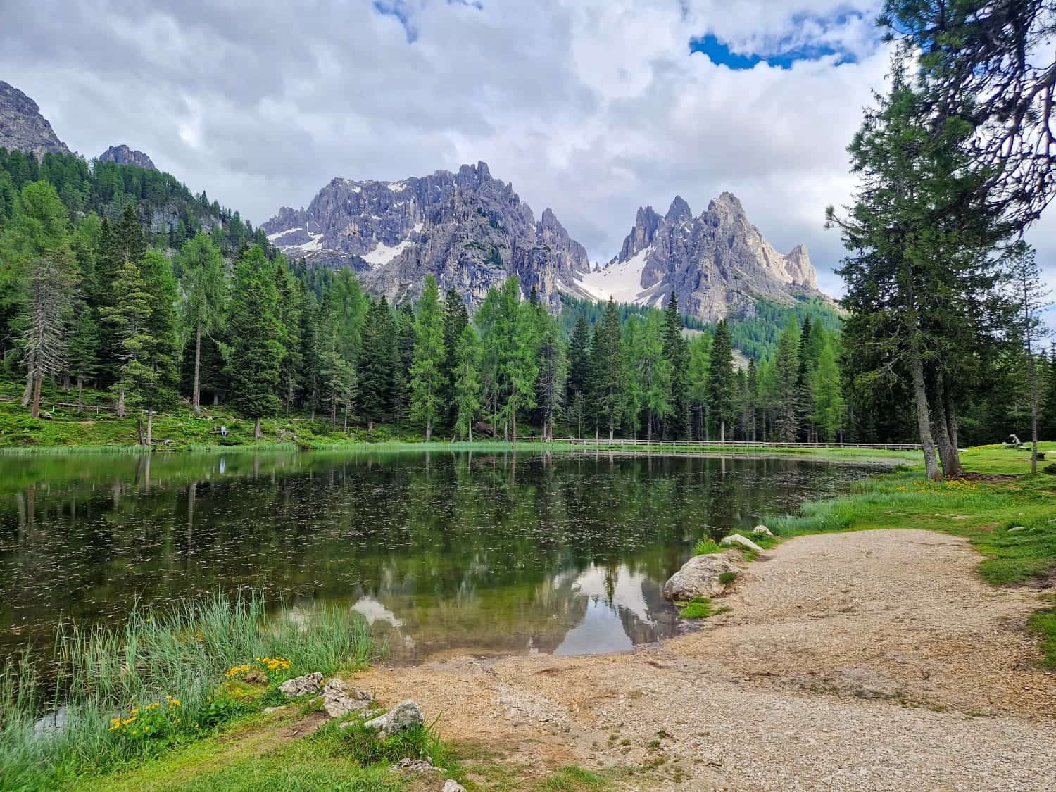 A serene mountain lake is surrounded by a dense forest of evergreen trees. Snowy peaks rise majestically in the background under a partly cloudy sky. The foreground features a gravel path and grassy area with yellow wildflowers along the lake's edge.