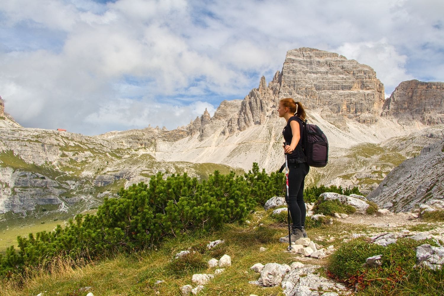 A hiker in black attire stands with trekking poles, gazing at a rugged mountainous landscape under a partly cloudy sky. Green shrubs and rocky terrain surround the hiker.