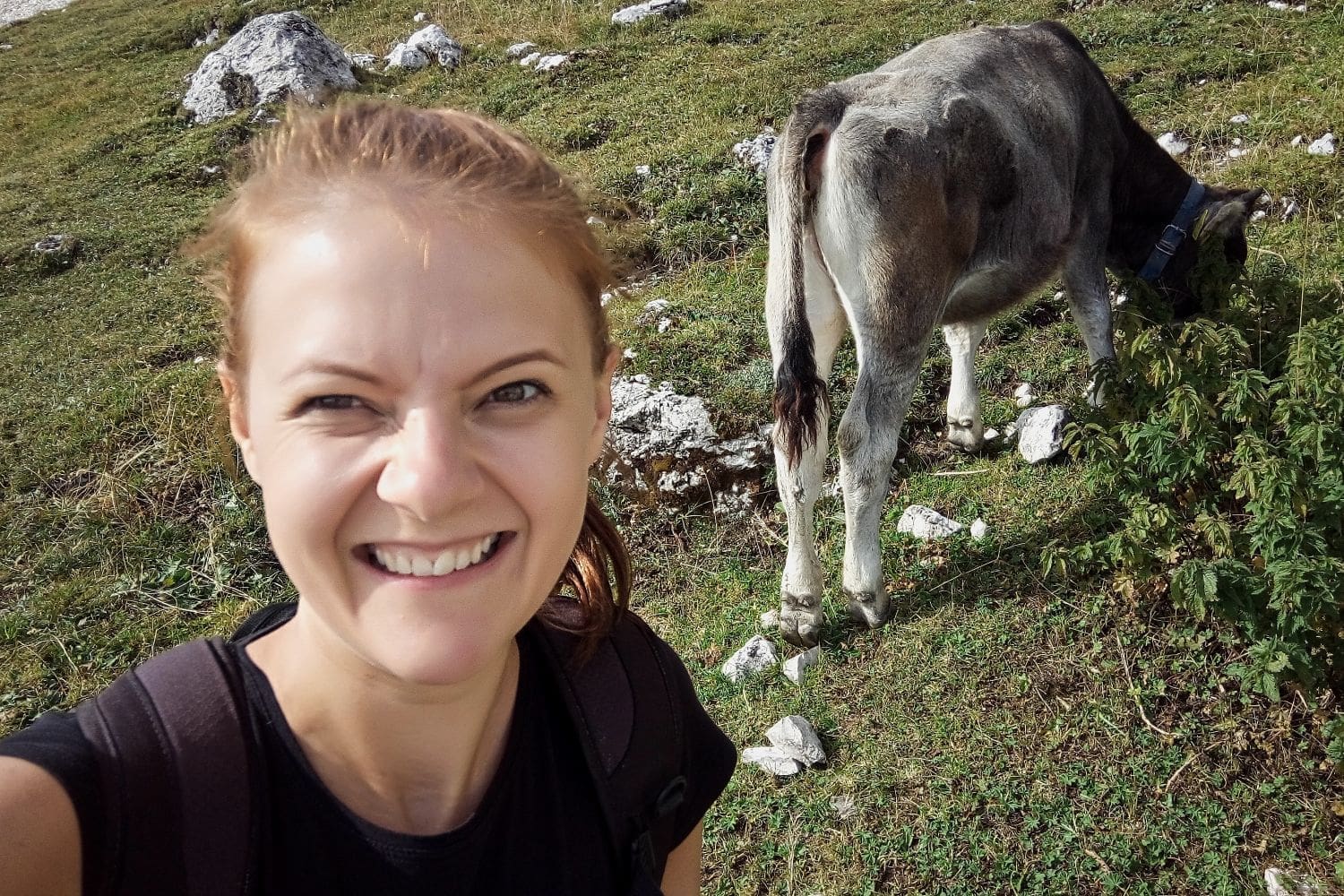 A woman with reddish-brown hair smiles at the camera while taking a selfie outdoors in a grassy area with rocks. Behind her, a gray cow grazes on the grass, facing away from the camera. The woman is wearing a black shirt and a backpack.