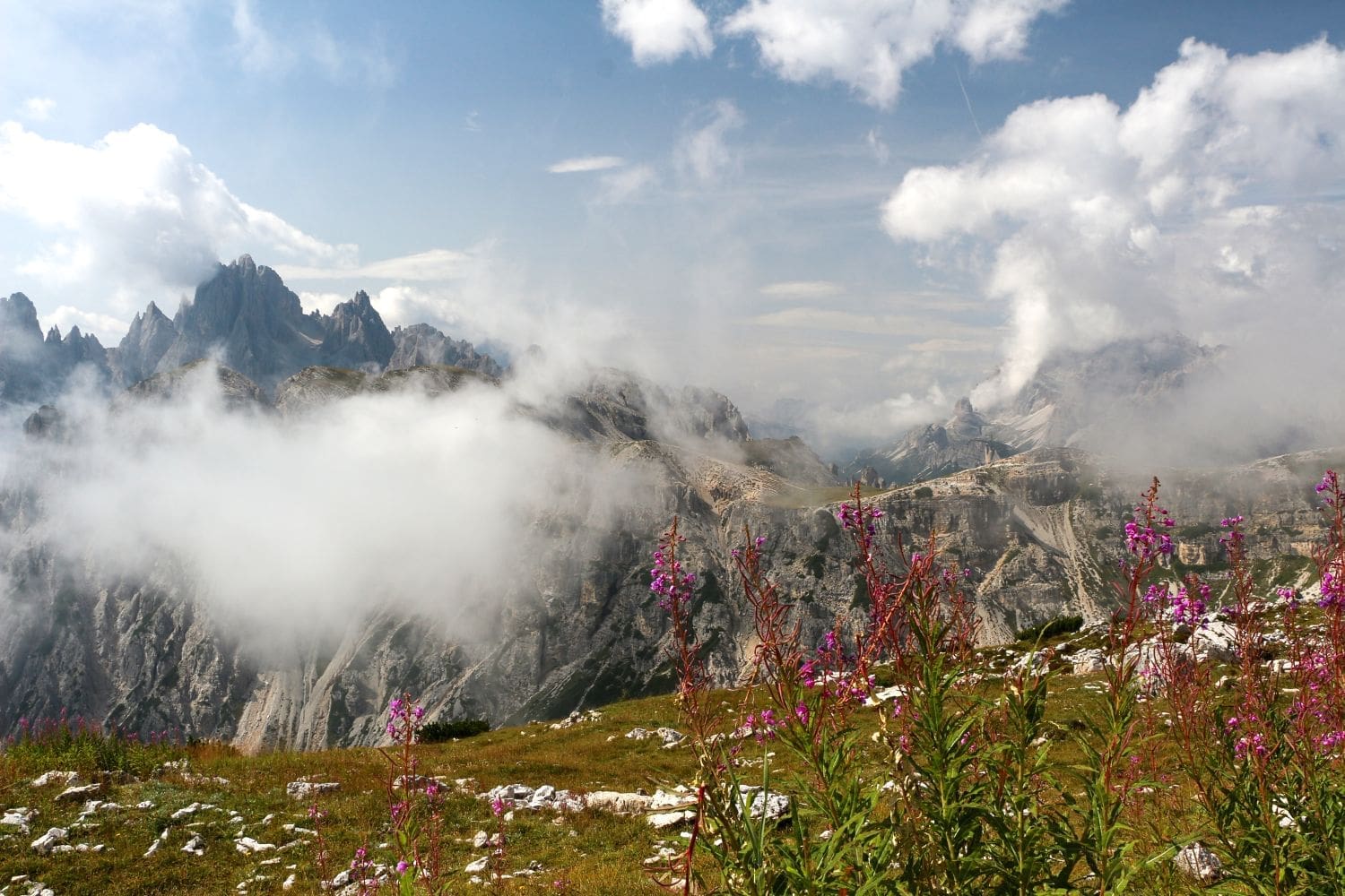 A scenic mountain landscape with jagged peaks partially obscured by clouds. In the foreground, there are clusters of pink wildflowers and green grass, while the rocky mountains in the background are bathed in varying shades of grey and brown.