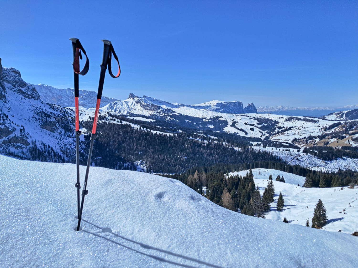 Two trekking poles stand planted in fresh snow on a ridge overlooking a wide alpine valley filled with evergreen trees and rolling slopes. Jagged mountain peaks rise in the distance beneath a clear blue sky, with the poles casting long shadows across the sparkling snow.