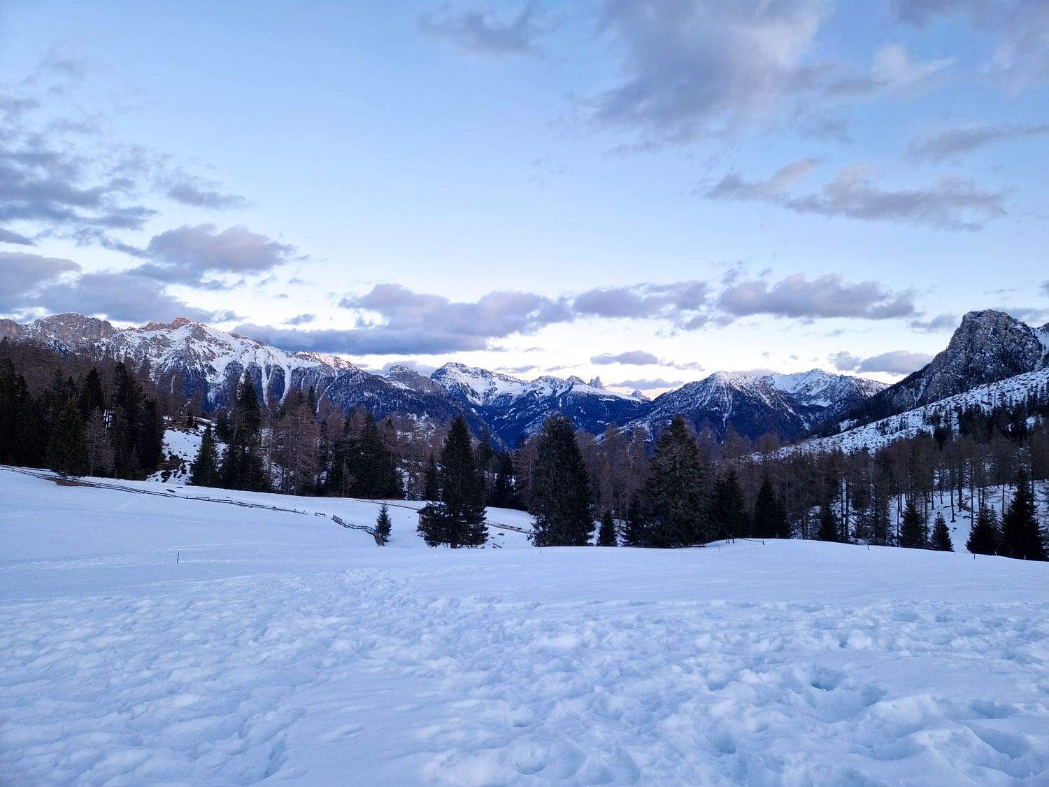 A snow-covered landscape with distant mountain ranges under a partly cloudy sky. Pine trees are scattered across the snowy ground, and the mountains are dusted with snow, contrasting with the blue sky above.