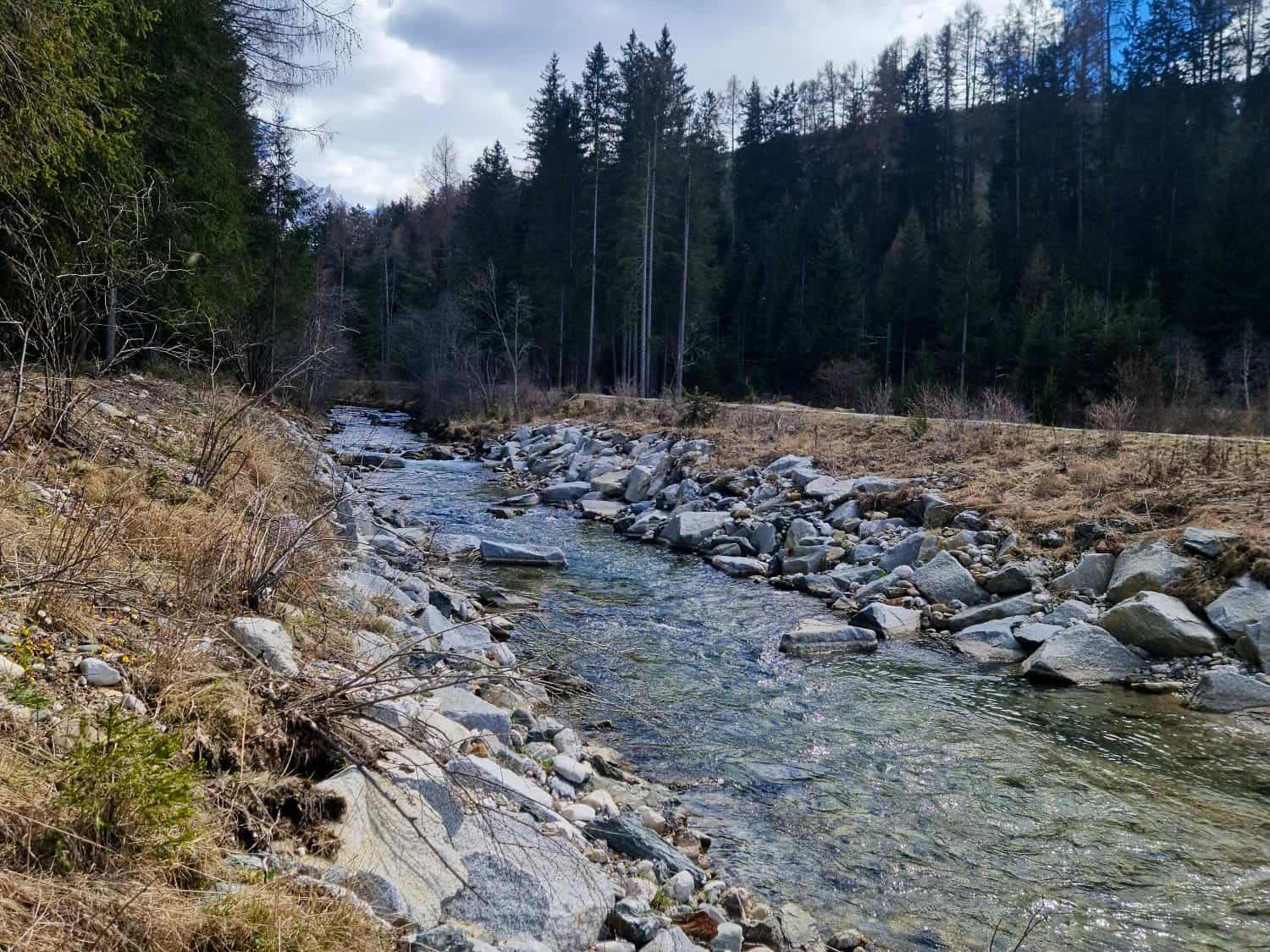 A rocky stream flows through a forested area with tall coniferous trees and a cloudy sky. The water reflects a variety of shades, and the landscape shows brown and green tones, indicating a natural, tranquil setting.
