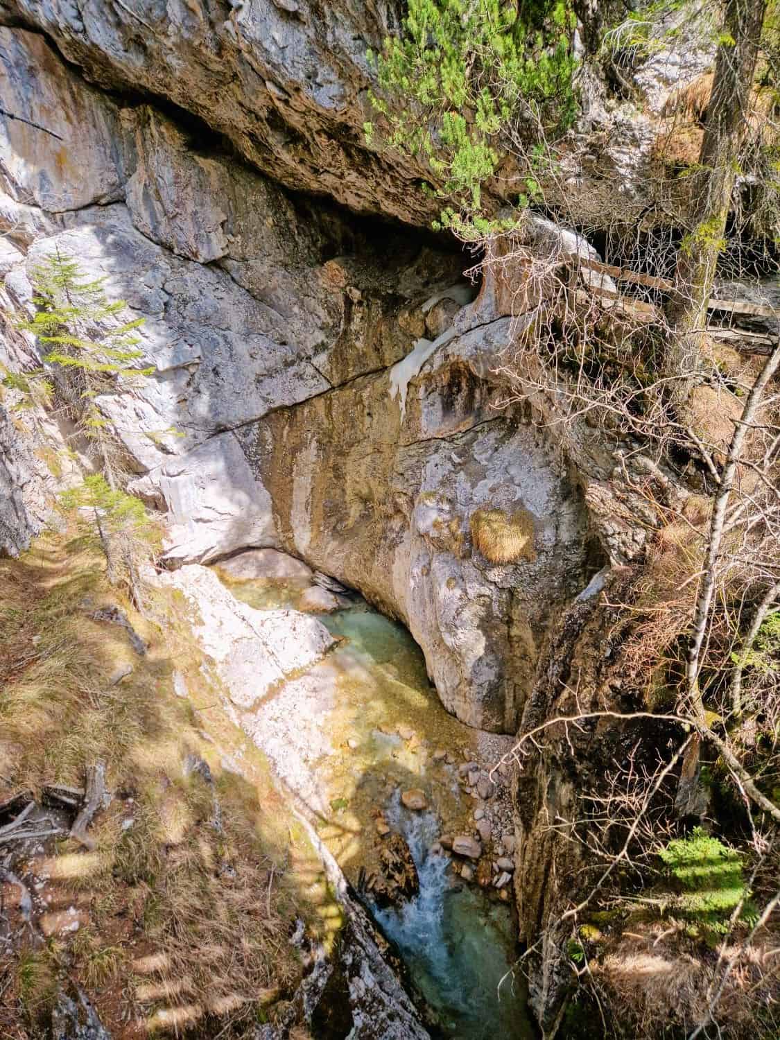 A narrow rocky canyon with a small stream flowing through it. Sunlight highlights the clear water and the textured rock walls. Sparse vegetation grows on the canyon edges, including some evergreen branches in the foreground.