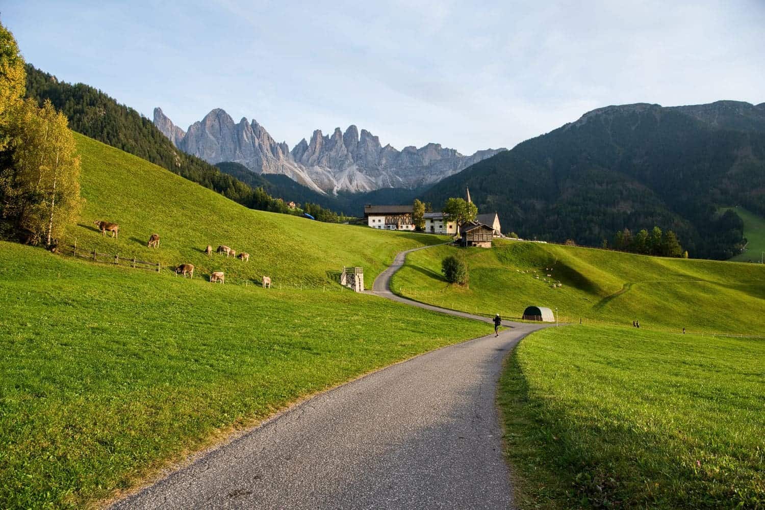 A winding road leads through a lush green landscape with grazing cows and a small chapel. In the background, jagged mountain peaks rise under a clear blue sky. A person walks along the path, enhancing the serene rural scene.