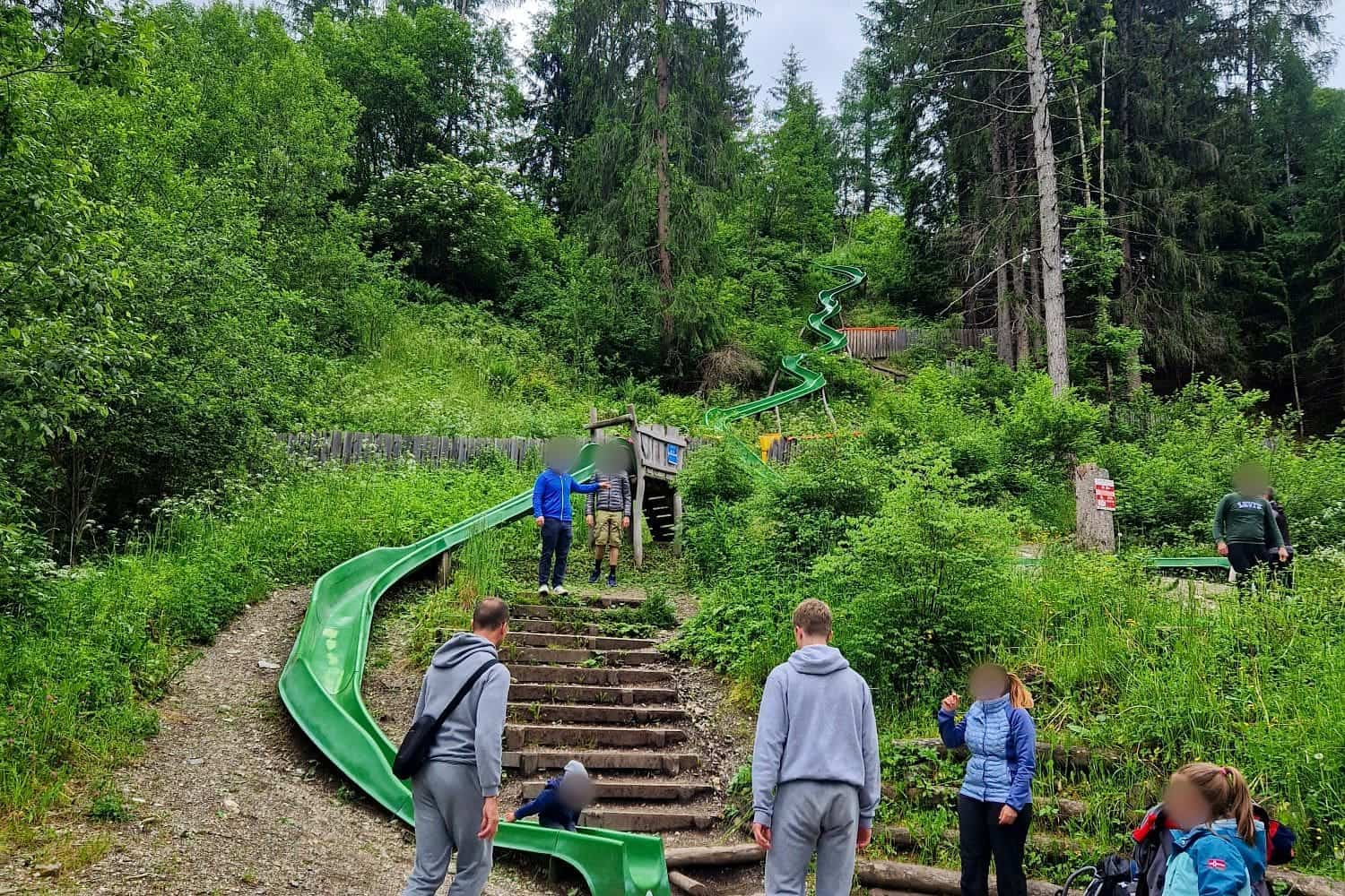 People are gathered near a long, twisting green slide that snakes down a grassy hillside surrounded by dense trees. Steps are beside the slide, with some people climbing them and others standing at the bottom. The sky is overcast.
