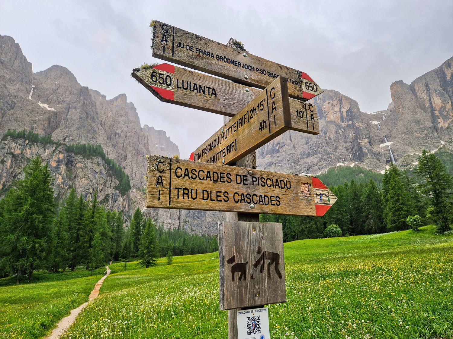 Wooden signposts with trail directions stand in a green meadow with wildflowers, in front of tall pine trees and rocky mountains under a cloudy sky. A narrow path leads toward the mountains.