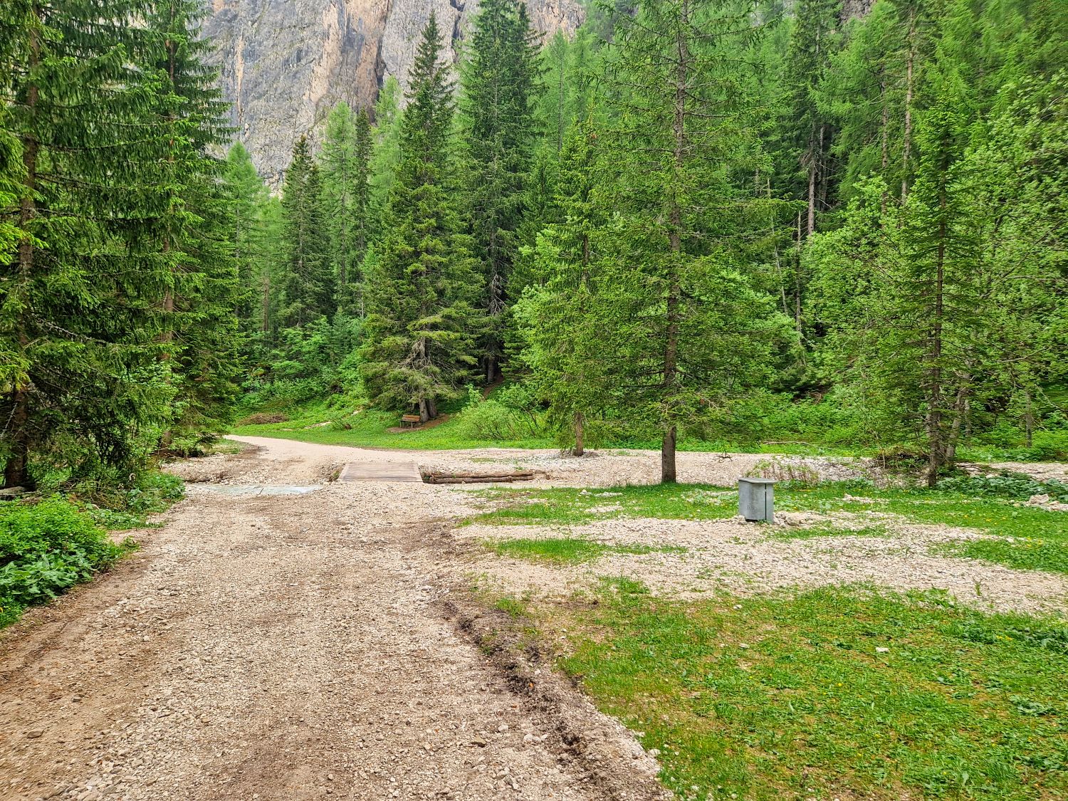 A dirt path winds through a lush green forest with tall pine trees, a small gravel clearing, and a metal trash can on the right side under cloudy daylight.