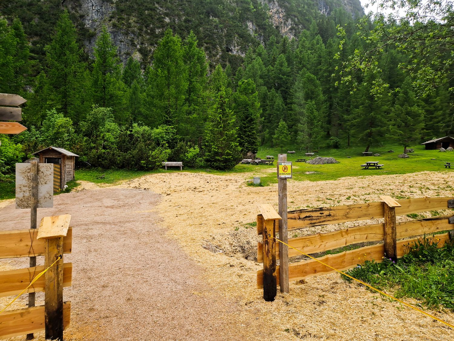 A fenced area with wood shavings on the ground opens to a grassy clearing surrounded by dense green trees, with several benches and picnic tables scattered throughout the scene.