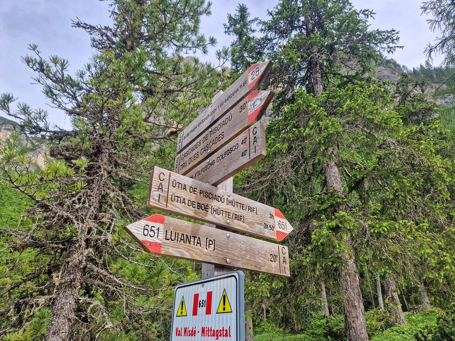 Wooden trail signs with red and white markings point in multiple directions among tall green trees, indicating hiking routes and distances in a forested mountain area.