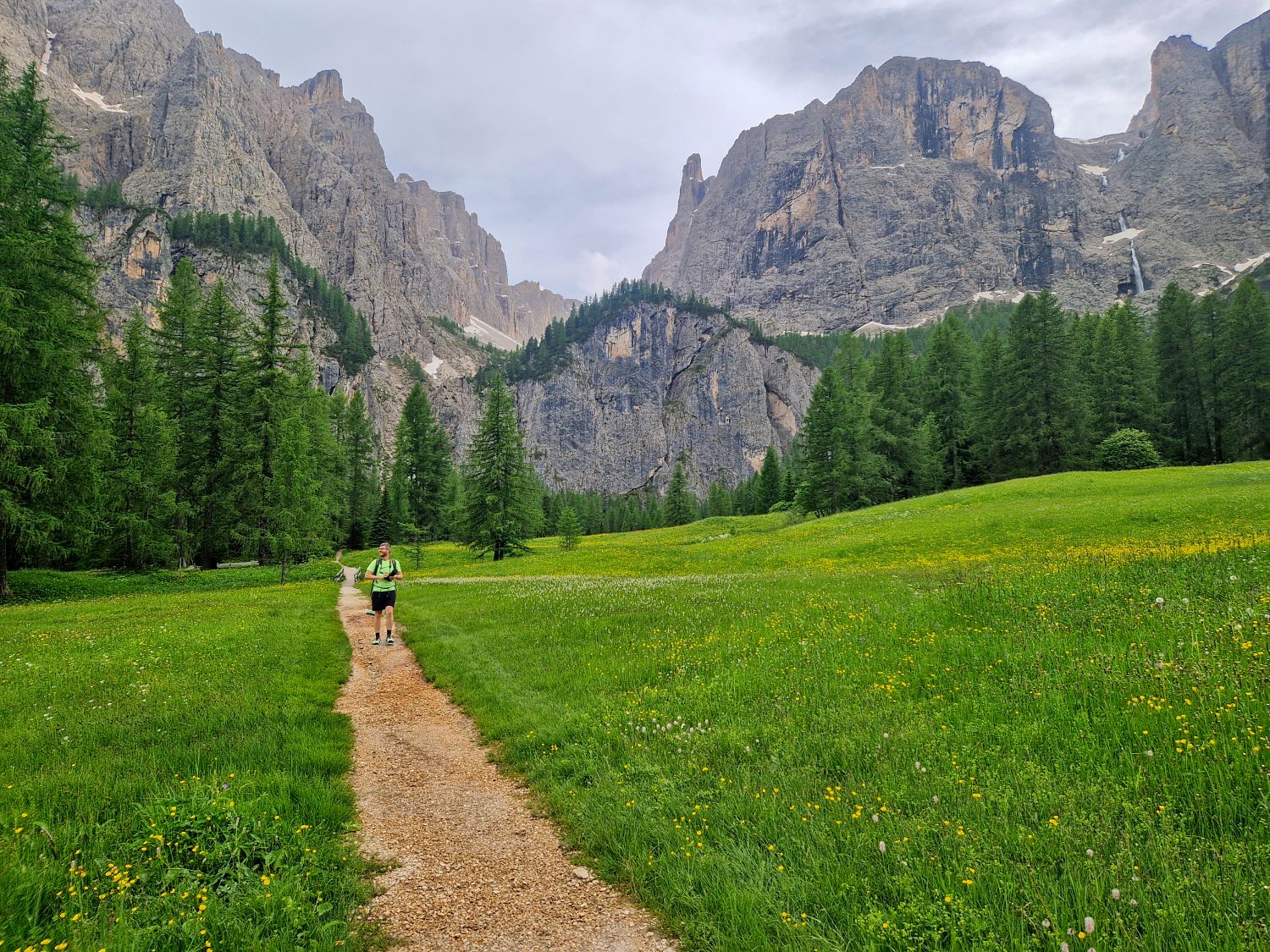 Two people walk on a dirt path through a green meadow with wildflowers, surrounded by tall pine trees and dramatic rocky mountains under a cloudy sky.