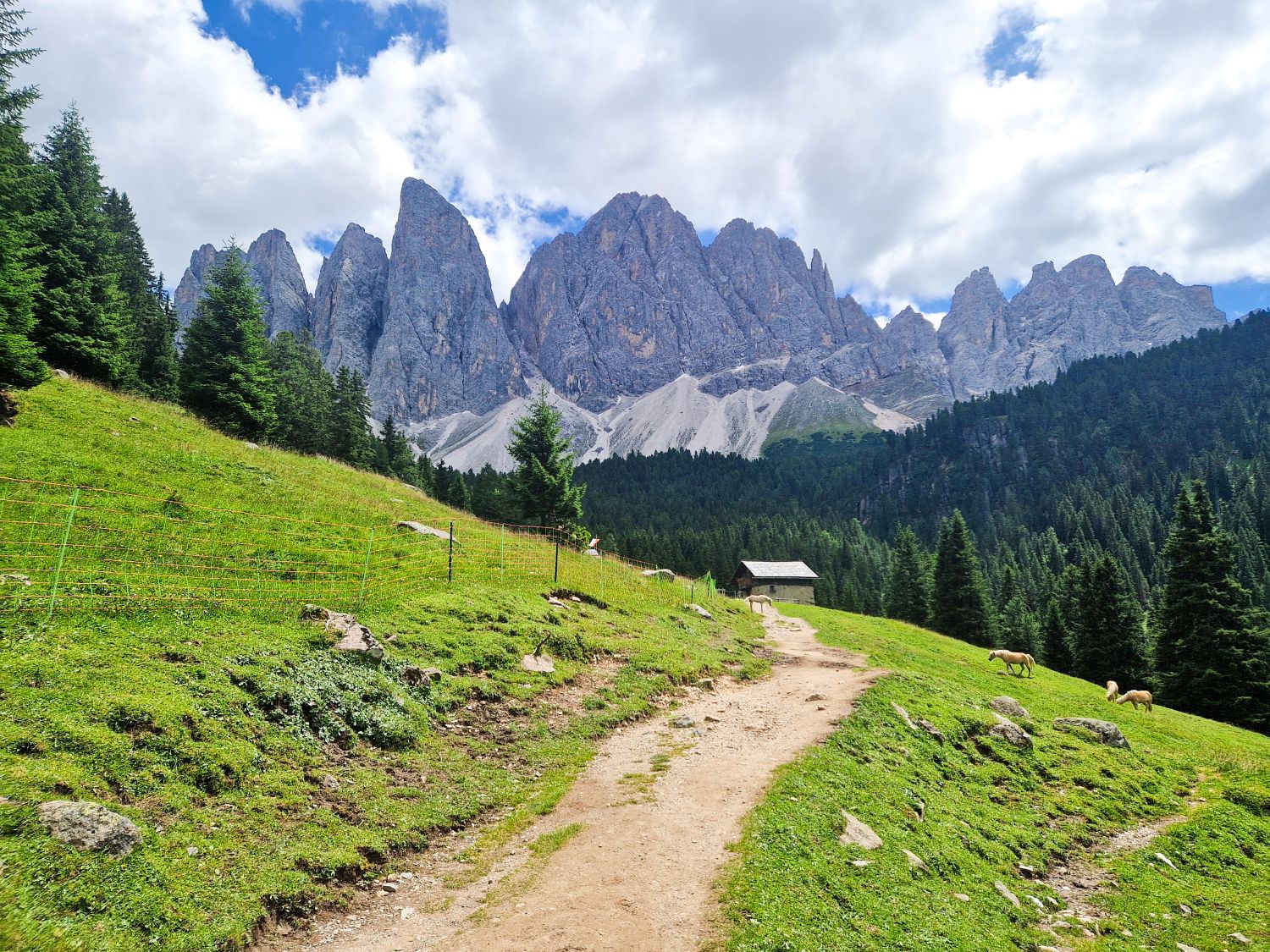 A dirt path winds through a grassy hillside with scattered rocks, leading to a small cabin. Pine trees line the path, and jagged mountains rise dramatically in the background under a partly cloudy sky.