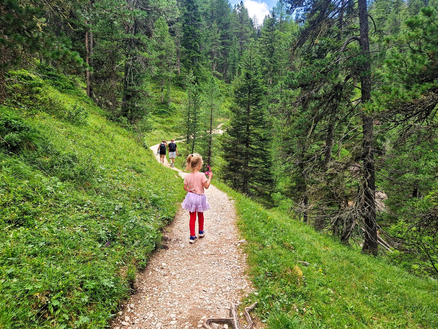 A young girl in a pink dress and red leggings walks along a winding forest trail, following a group of people ahead, surrounded by lush green trees and grass.