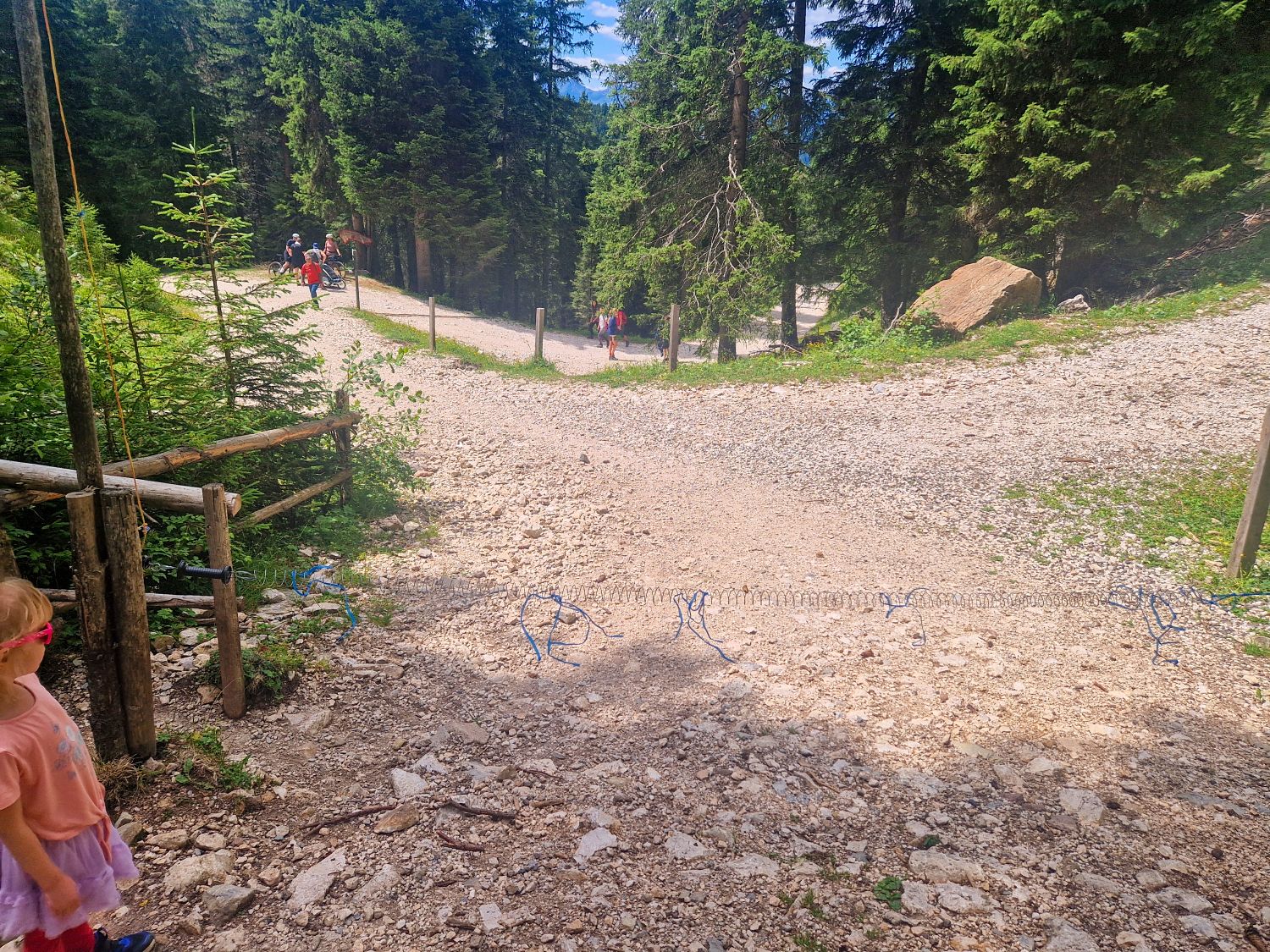 A rocky forest trail splits into two paths bordered by tall pine trees. People are walking in the distance, and a child in a pink outfit is partially visible in the lower left corner near a wooden fence.