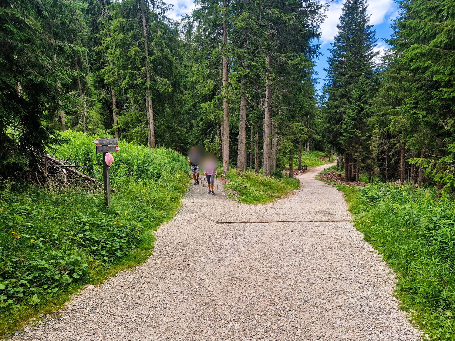 A gravel path in a forest splits into two directions, surrounded by tall trees and greenery. Several people are walking along the left path, and a wooden signpost is visible on the left side.