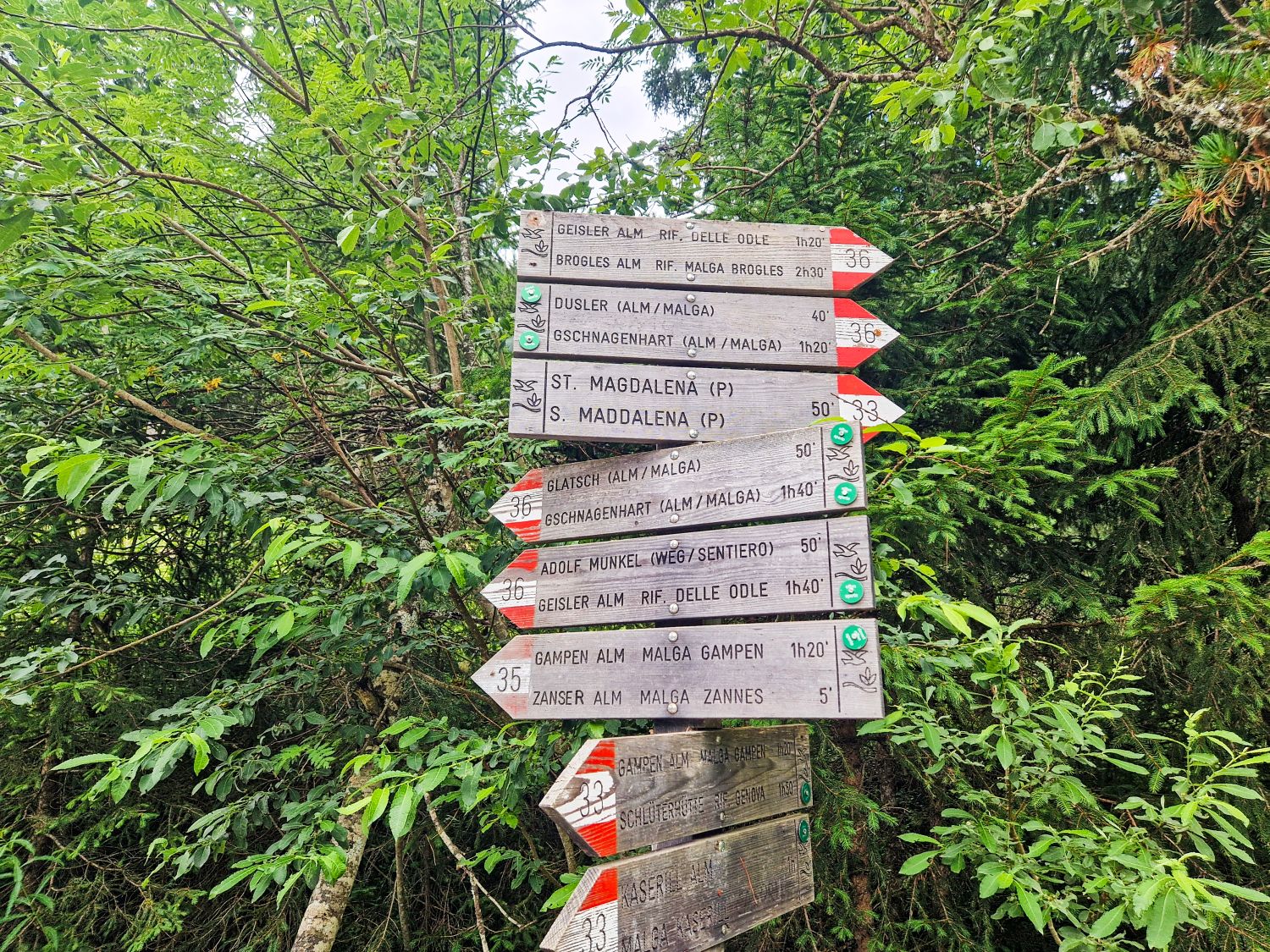 Wooden trail signs with red and white markers display various hiking routes and distance times in a forested area, surrounded by lush green trees and foliage.