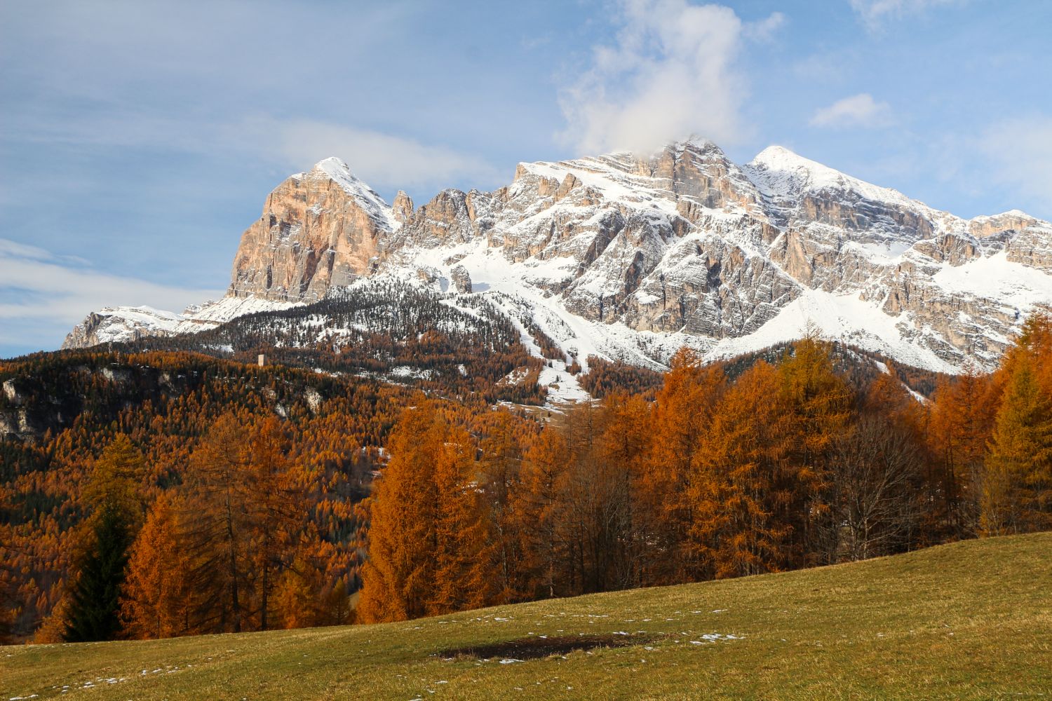 Snow-capped mountains rise above a forest of orange and green trees in autumn, with a grassy field in the foreground under a partly cloudy sky.