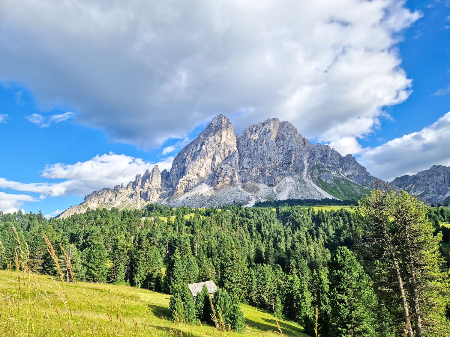 A dramatic mountain peak rises above a dense green forest and grassy meadow under a blue sky with scattered clouds. A small building is partially visible among the trees in the foreground.